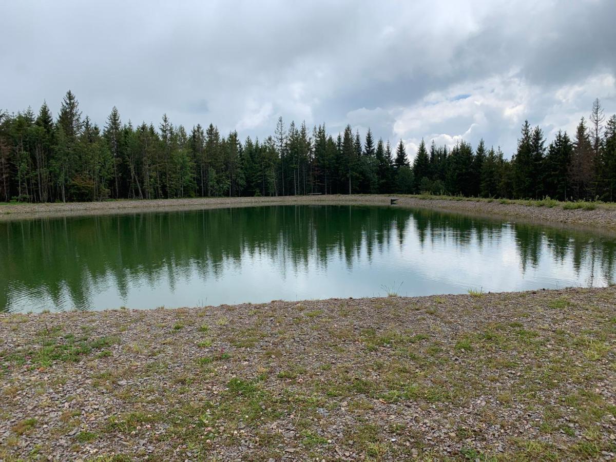 Residenz Schauinsland Todtnauberg - Fewo 17 - Spielzimmer für Kinder - Nähe Feldberg Exterior foto