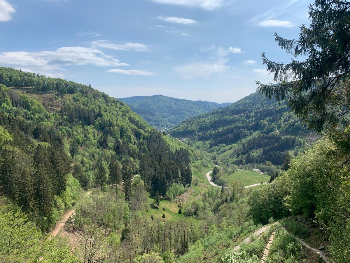 Residenz Schauinsland Todtnauberg - Fewo 17 - Spielzimmer für Kinder - Nähe Feldberg Exterior foto