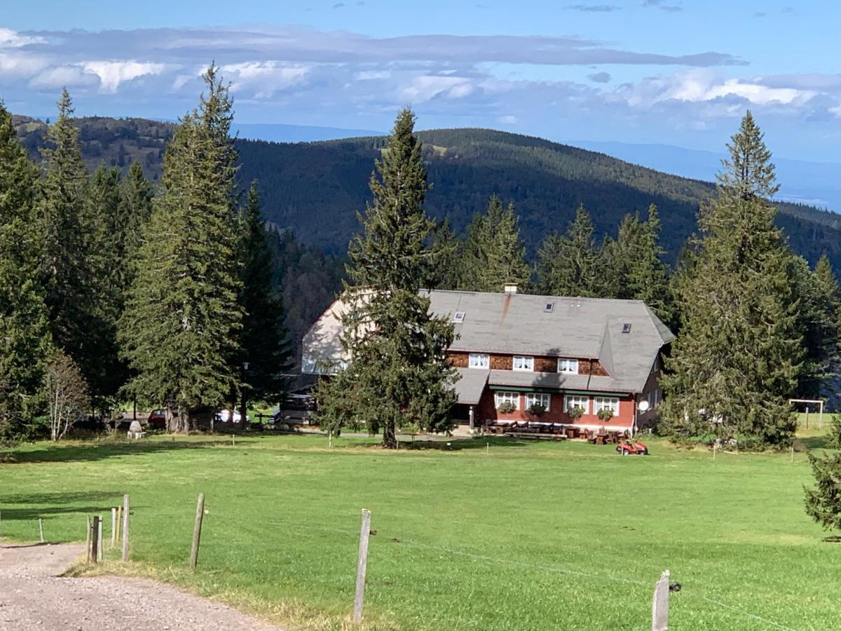 Residenz Schauinsland Todtnauberg - Fewo 17 - Spielzimmer für Kinder - Nähe Feldberg Exterior foto